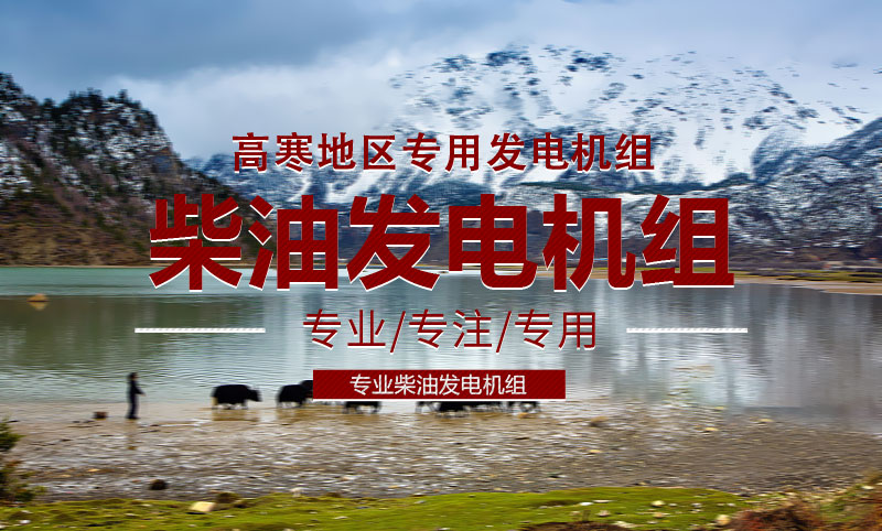 高寒地區(qū)專用柴油發(fā)電機組